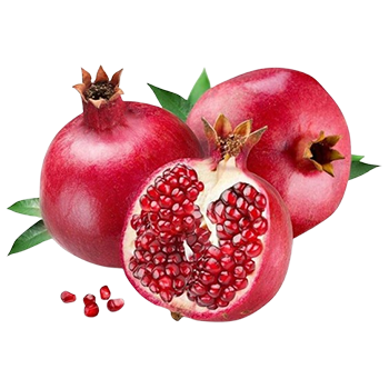 Export Quality Pomegranate