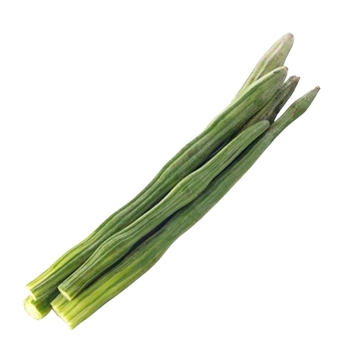 Export Quality Drumstick